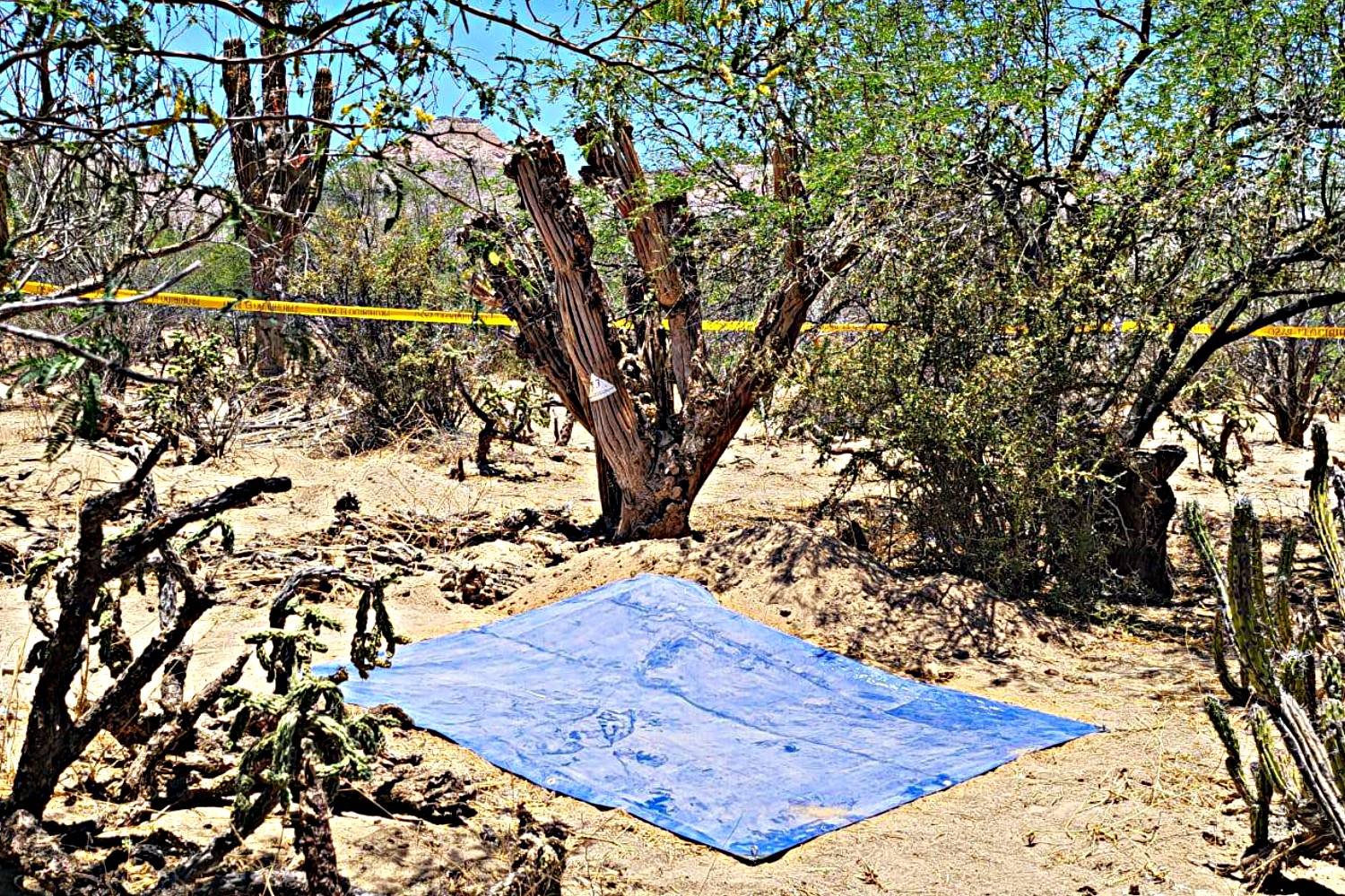 fosas-clandestinas-la-paz-busqueda-colectivo